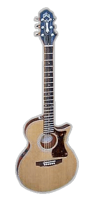 Songbird model of guitar by Guild